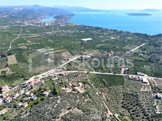 Αγροτεμάχια 7.103 τ.μ. για πώληση, Αργολίδα, Ασίνη-thumb-23
