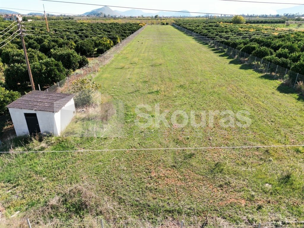 Αγροτεμάχια 8.202 τ.μ. προς πώληση, Αγία Τριάδα Μιδέας