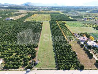 Αγροτεμάχια 8.202 τ.μ. για πώληση, Αργολίδα, Μιδέα-thumb-3