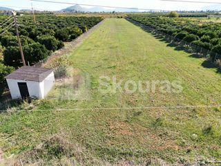 Αγροτεμάχια 8.202 τ.μ. για πώληση, Αργολίδα, Μιδέα-thumb-23