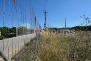 Αγροτεμάχια 8.202 τ.μ. για πώληση, Αργολίδα, Μιδέα-thumb-8