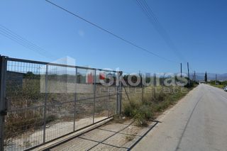 Αγροτεμάχια 8.202 τ.μ. για πώληση, Αργολίδα, Μιδέα-thumb-4