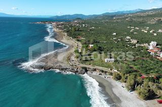 Αγροτεμάχια 4.070 τ.μ. για πώληση