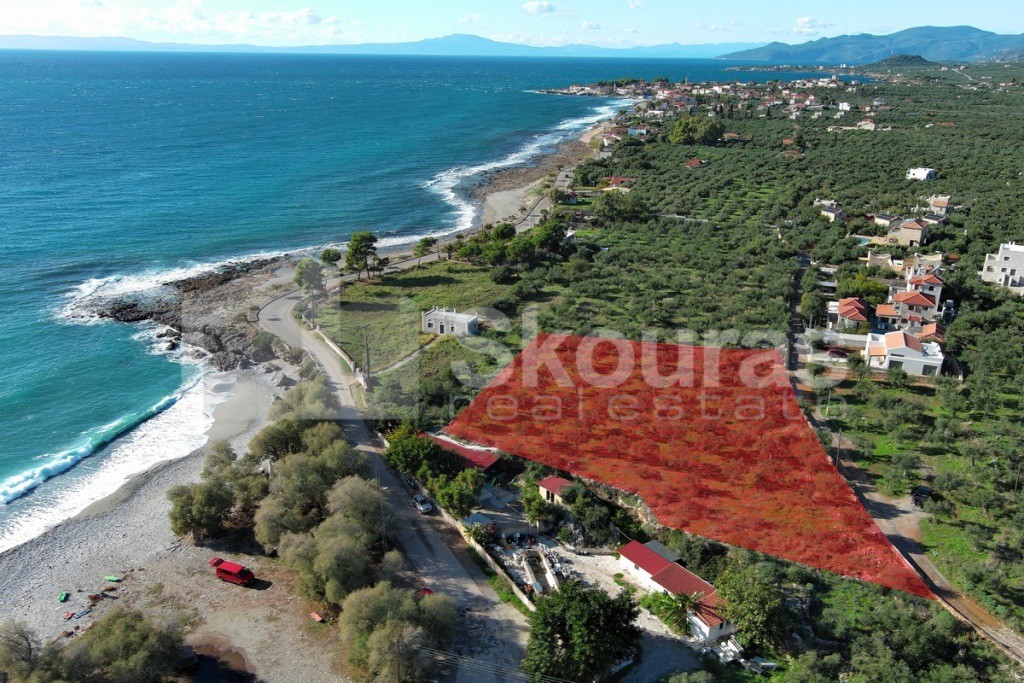 Αγροτεμάχια 4.070 τ.μ. προς πώληση, Άγιος Νικόλαος Λεύκτρου