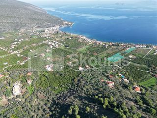 Αγροτεμάχια 4.035 τ.μ. για πώληση