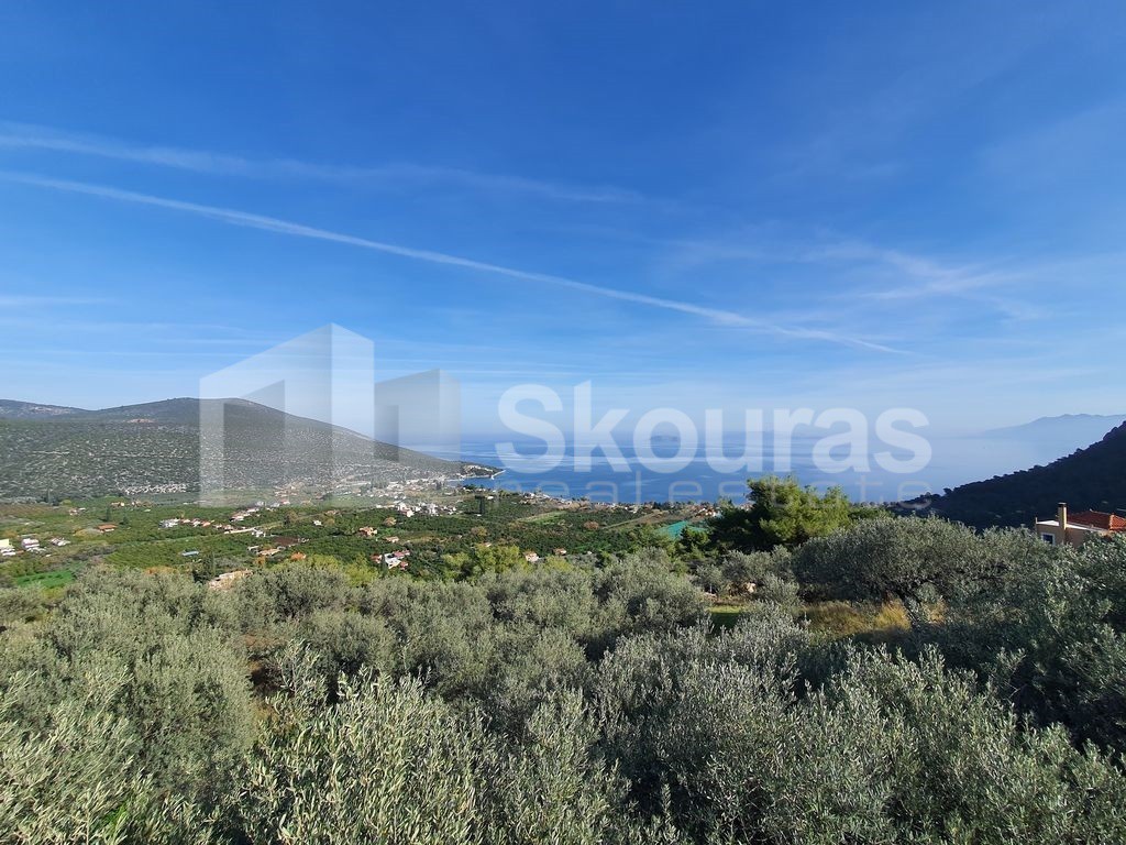 Αγροτεμάχια 4.035 τ.μ. προς πώληση, Νέα Επίδαυρος