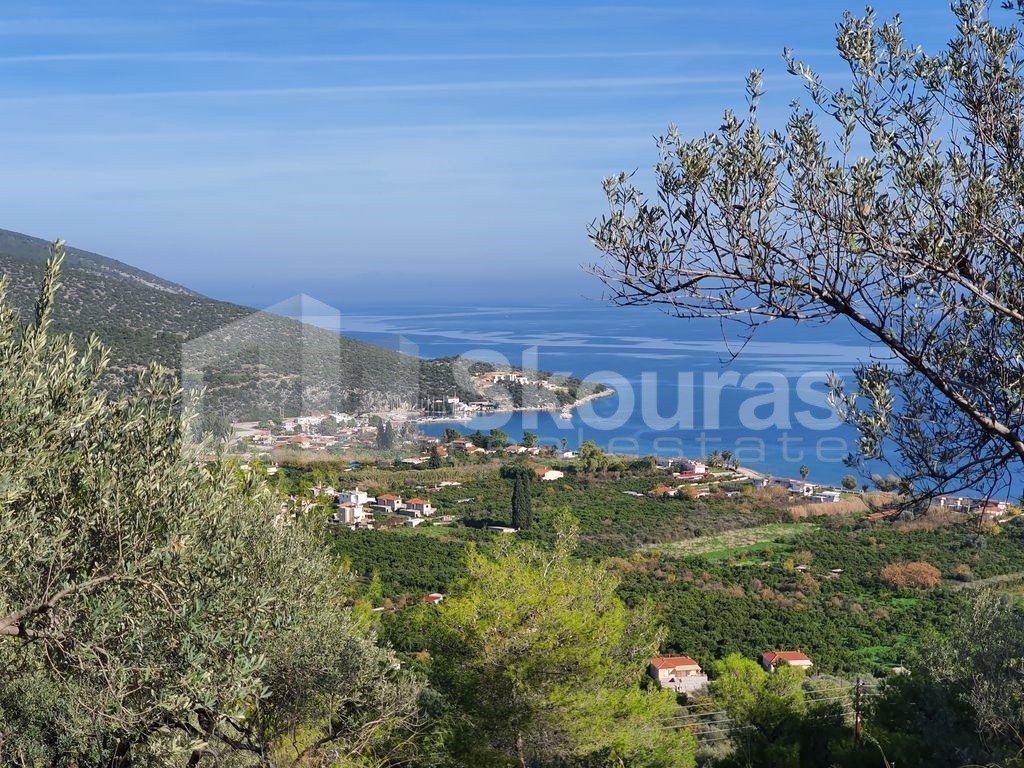 Αγροτεμάχια 4.035 τ.μ. προς πώληση, Νέα Επίδαυρος