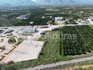 Αγροτεμάχια 4.988 τ.μ. για πώληση