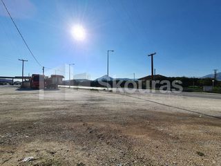 Αγροτεμάχια 4.988 τ.μ. για πώληση, Αργολίδα, Άργος-thumb-5