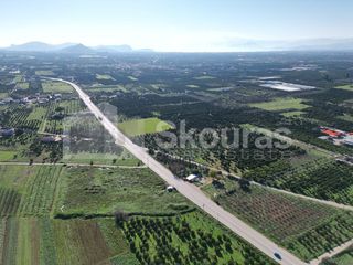 Αγροτεμάχια 9.000 τ.μ. για πώληση