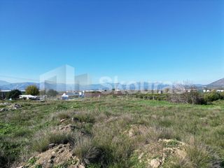 Αγροτεμάχια 9.000 τ.μ. για πώληση, Αργολίδα, Μιδέα-thumb-21