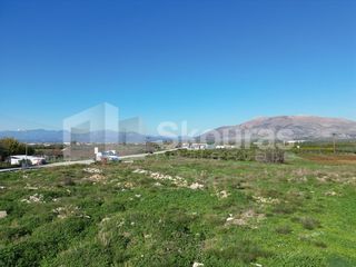 Αγροτεμάχια 9.000 τ.μ. για πώληση, Αργολίδα, Μιδέα-thumb-22