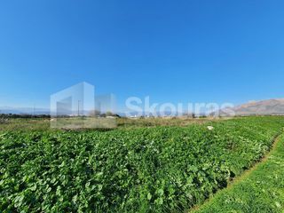 Αγροτεμάχια 9.000 τ.μ. για πώληση, Αργολίδα, Μιδέα-thumb-9