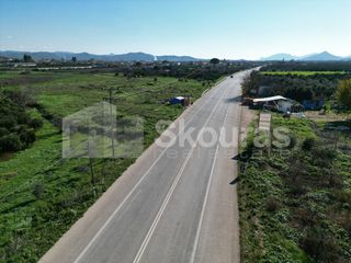Αγροτεμάχια 9.000 τ.μ. για πώληση, Αργολίδα, Μιδέα-thumb-23
