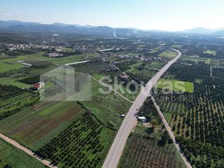 Αγροτεμάχια 9.000 τ.μ. για πώληση, Αργολίδα, Μιδέα-thumb-3