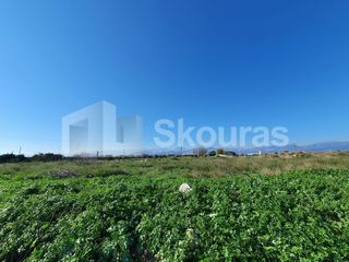 Αγροτεμάχια 9.000 τ.μ. για πώληση, Αργολίδα, Μιδέα-thumb-10