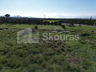 Αγροτεμάχια 9.000 τ.μ. για πώληση, Αργολίδα, Μιδέα-thumb-19
