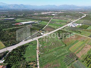 Αγροτεμάχια 9.000 τ.μ. για πώληση, Αργολίδα, Μιδέα-thumb-17