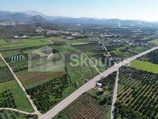 Αγροτεμάχια 9.000 τ.μ. για πώληση, Αργολίδα, Μιδέα-thumb-13