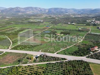 Αγροτεμάχια 9.000 τ.μ. για πώληση, Αργολίδα, Μιδέα-thumb-15