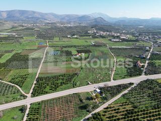 Αγροτεμάχια 9.000 τ.μ. για πώληση, Αργολίδα, Μιδέα-thumb-14