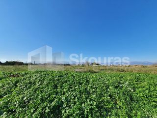 Αγροτεμάχια 9.000 τ.μ. για πώληση, Αργολίδα, Μιδέα-thumb-8