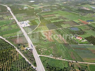 Αγροτεμάχια 9.000 τ.μ. για πώληση, Αργολίδα, Μιδέα-thumb-16