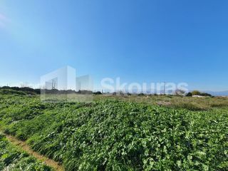 Αγροτεμάχια 9.000 τ.μ. για πώληση, Αργολίδα, Μιδέα-thumb-7