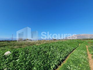 Αγροτεμάχια 9.000 τ.μ. για πώληση, Αργολίδα, Μιδέα-thumb-12