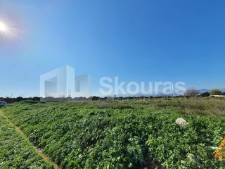 Αγροτεμάχια 9.000 τ.μ. για πώληση, Αργολίδα, Μιδέα-thumb-11