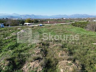 Αγροτεμάχια 9.000 τ.μ. για πώληση, Αργολίδα, Μιδέα-thumb-18