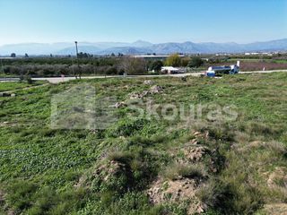 Αγροτεμάχια 9.000 τ.μ. για πώληση, Αργολίδα, Μιδέα-thumb-20