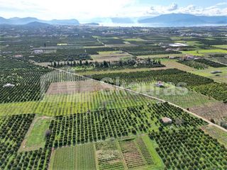 Αγροτεμάχια 11.000 τ.μ. προς πώληση, Λάλουκας-thumb-7