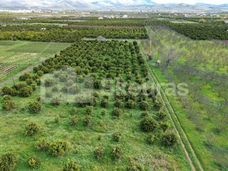 Αγροτεμάχια 11.000 τ.μ. προς πώληση, Λάλουκας-thumb-24