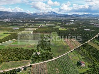 Αγροτεμάχια 11.000 τ.μ. προς πώληση, Λάλουκας-thumb-11