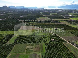 Αγροτεμάχια 11.000 τ.μ. προς πώληση, Λάλουκας-thumb-9