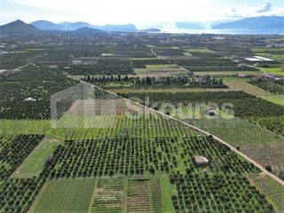 Αγροτεμάχια 11.000 τ.μ. προς πώληση, Λάλουκας-thumb-8