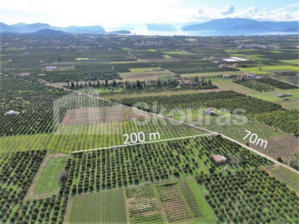 Αγροτεμάχια 11.000 τ.μ. προς πώληση, Λάλουκας
