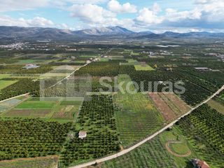 Αγροτεμάχια 11.000 τ.μ. προς πώληση, Λάλουκας-thumb-12