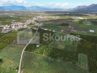 Αγροτεμάχια 11.000 τ.μ. προς πώληση, Λάλουκας-thumb-16