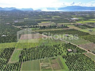 Αγροτεμάχια 11.000 τ.μ. προς πώληση, Λάλουκας-thumb-6