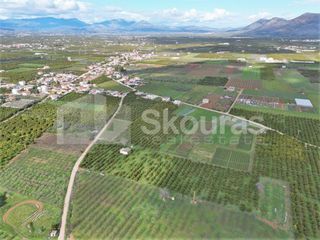 Αγροτεμάχια 11.000 τ.μ. προς πώληση, Λάλουκας-thumb-15