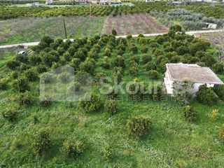 Αγροτεμάχια 11.000 τ.μ. προς πώληση, Λάλουκας-thumb-17