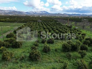Αγροτεμάχια 11.000 τ.μ. προς πώληση, Λάλουκας-thumb-20