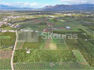 Αγροτεμάχια 11.000 τ.μ. προς πώληση, Λάλουκας-thumb-14