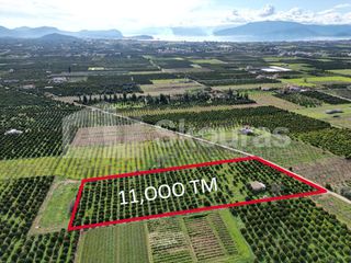 Αγροτεμάχια 11.000 τ.μ. για πώληση