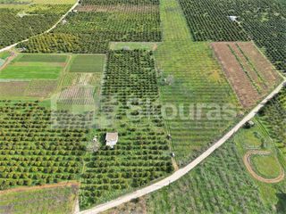 Αγροτεμάχια 11.000 τ.μ. προς πώληση, Λάλουκας-thumb-13