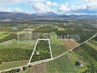 Αγροτεμάχια 11.000 τ.μ. προς πώληση, Λάλουκας-thumb-10