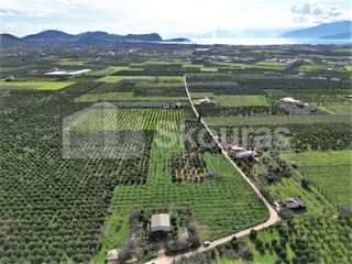Αγροτεμάχια 9.000 τ.μ. για πώληση, Αργολίδα, Άργος-thumb-10