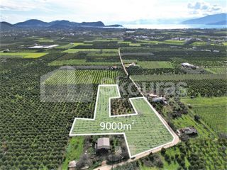 Αγροτεμάχια 9.000 τ.μ. για πώληση, Αργολίδα, Άργος-thumb-3